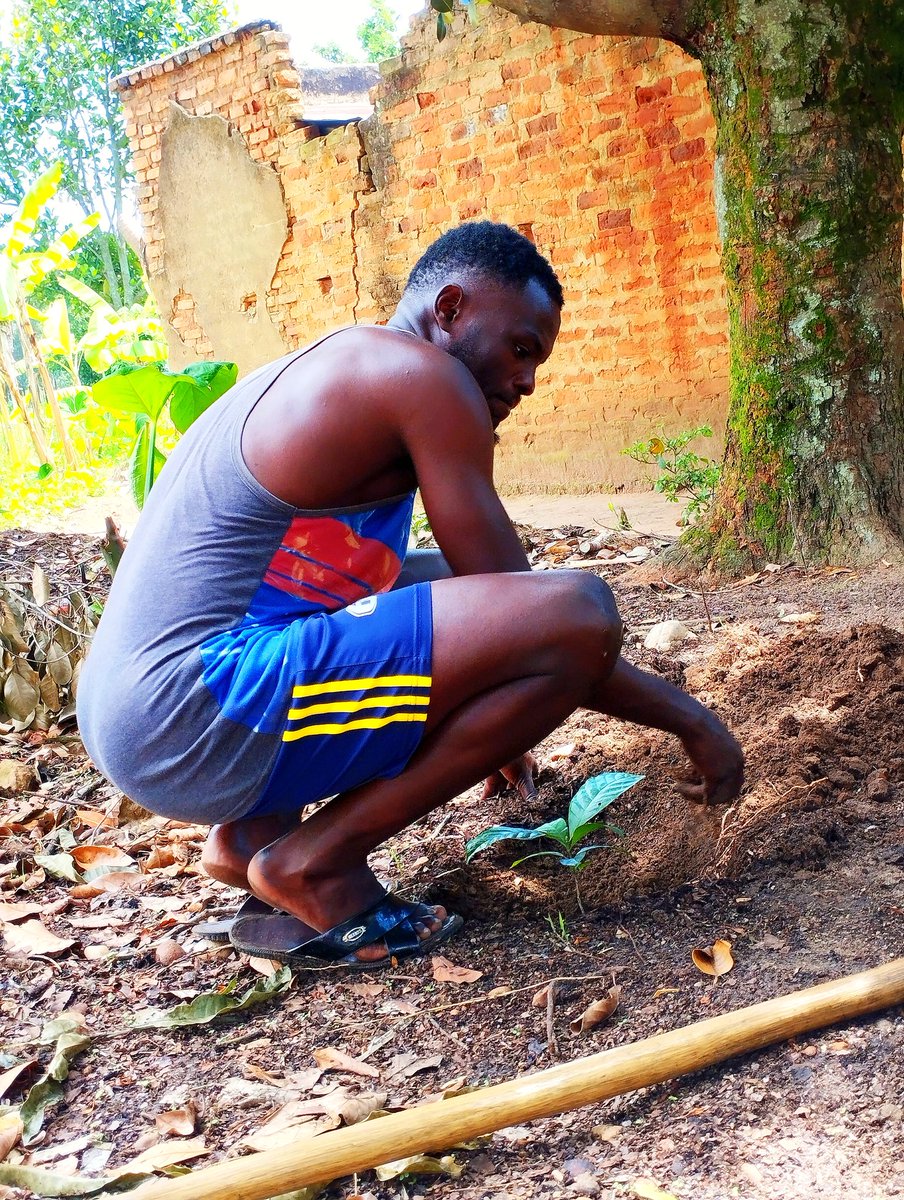 A TREESTORY🌲🌲🌍(COMMUNITY AT UNITY)🇧🇪🇧🇪🇧🇪 tweet media