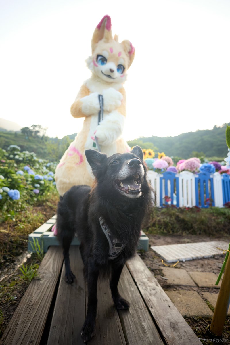Hiking with <a href="/_Sieyang_/">シエヤン/血漾🔜</a> 

🐾➤ <a href="/_Sieyang_/">シエヤン/血漾🔜</a> 
📷➤ <a href="/TorrFoxx/">圖爾 UTFG 🔜 Infurnity 2025</a>