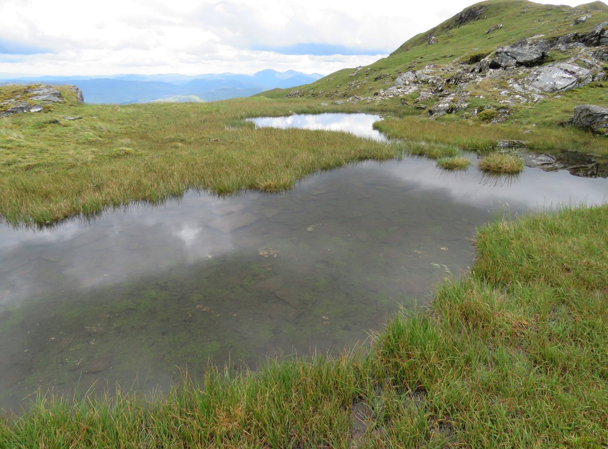 A pool near the summit of Ben Lawers on 15 May 2025 (left), and the same pool on 23 July 2024. Drought-stressed Scottish Highlands. Hope we have some decent rain soon.