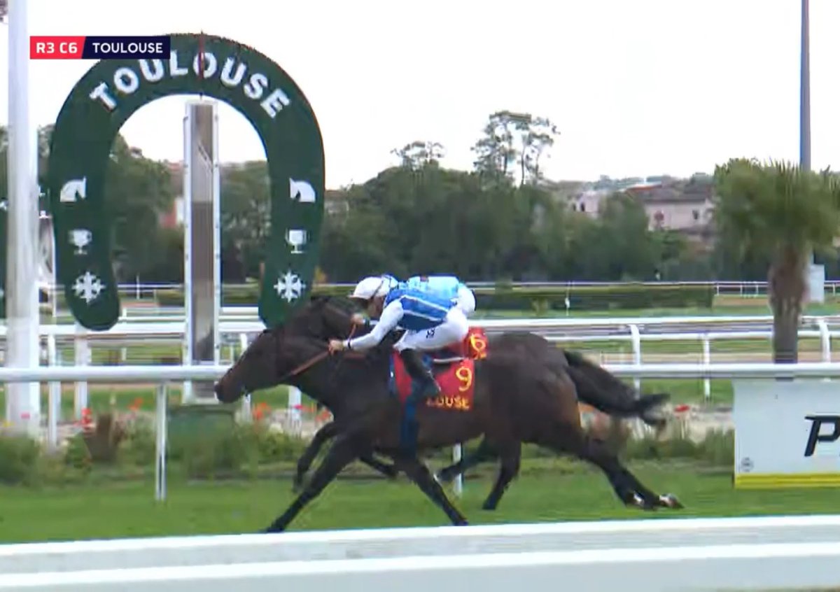 Ecurie Monceaux (@ecuriemonceaux) on Twitter photo Monceaux homebred Croquis finishes strong on his way to stakes success in the Derby Du Languedoc at Toulouse.
The son of <a href="/DarleyEurope/">Darley in Europe</a> Pinatubo was bred by Dayton Investments and captures a 1st stakes triumph for <a href="/teamchferland/">CH Ferland Racing</a> & Wertheimer et Frere.
Congrats to all involved! Monceaux homebred Croquis finishes strong on his way to stakes success in the Derby Du Languedoc at Toulouse.
The son of <a href="/DarleyEurope/">Darley in Europe</a> Pinatubo was bred by Dayton Investments and captures a 1st stakes triumph for <a href="/teamchferland/">CH Ferland Racing</a> & Wertheimer et Frere.
Congrats to all involved!