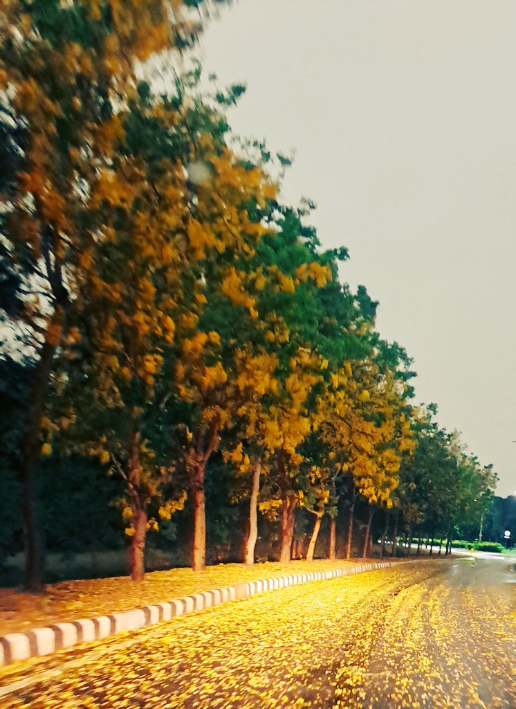 Manjari Jain tweet media