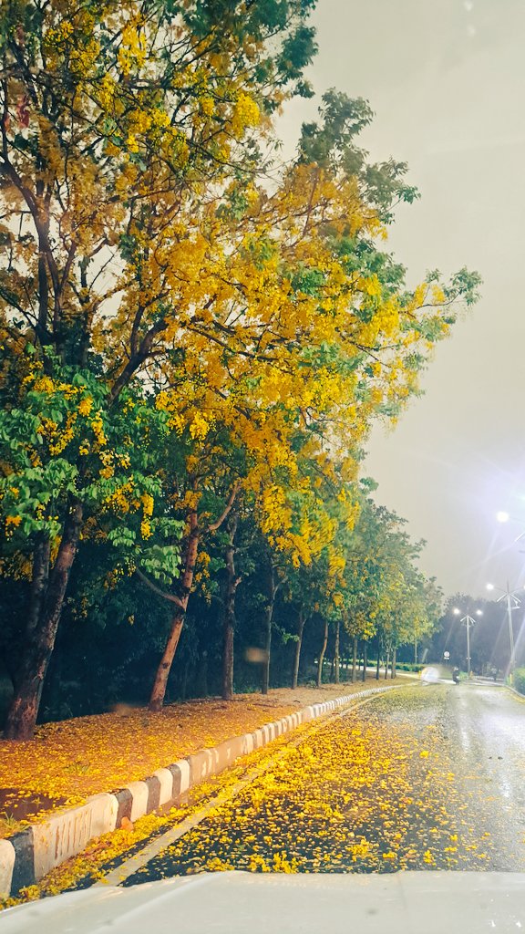 Manjari Jain tweet media