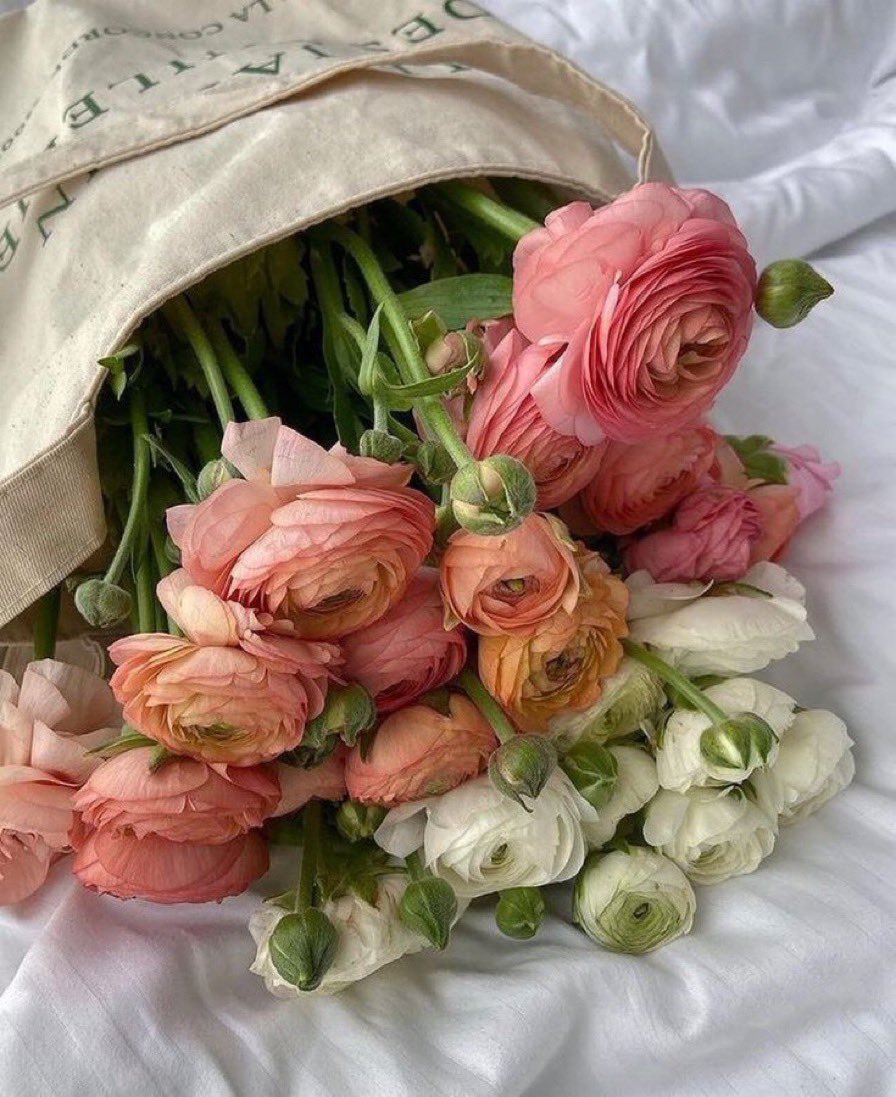 سلامٌ علَى مَنْ إذَا ناديناهُم بالرُّوح
ردُّوا علينَا .. بنبضِ قلُوبِهم 🌸🤍.