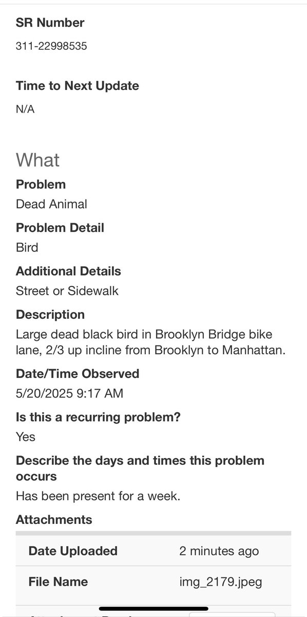 _Steve_Bennett's tweet image. Good morning @NYC_DOT @NYCSanitation this giant dead bird has been sitting in the Brooklyn Bridge bike lane for a week. Can someone please be sent to dispose of it safely? Thanks
