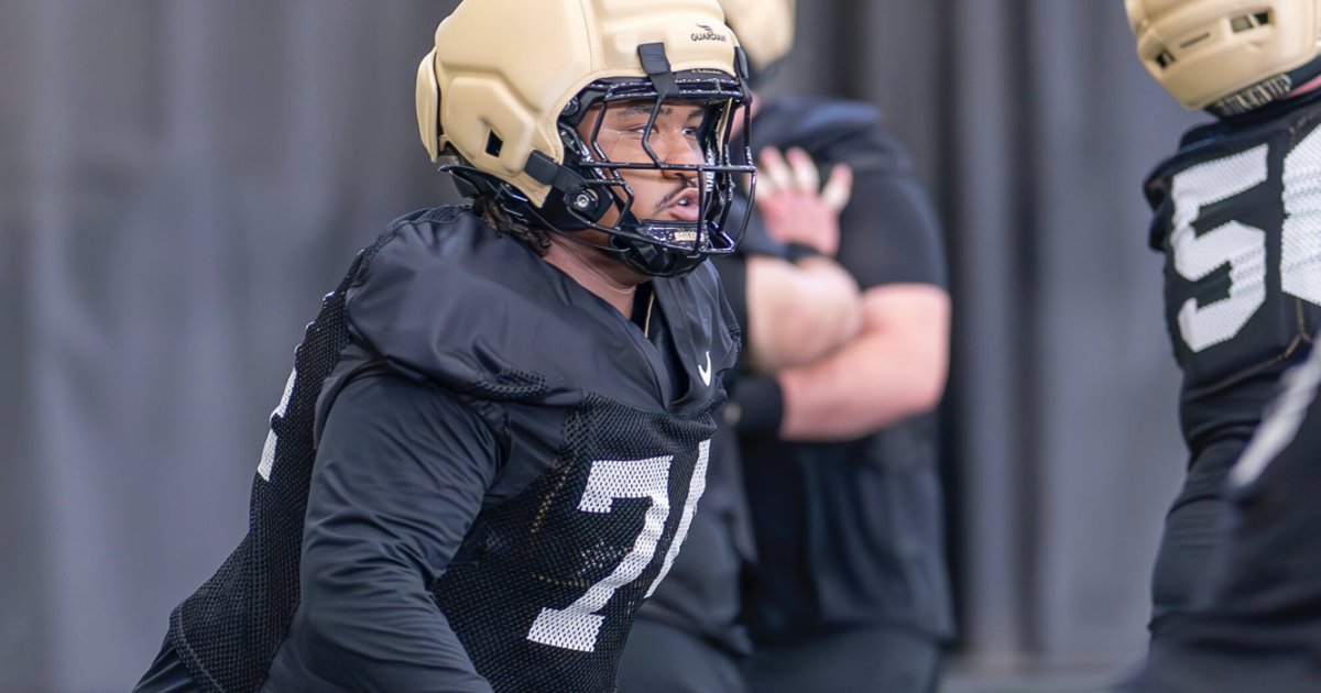 Get this: #Purdue has brought in 9 portal o-linemen. How will it all sort out? 

Bulk and depth have been added. We assess a Boilermaker front being built on the fly.
on3.com/teams/purdue-b…