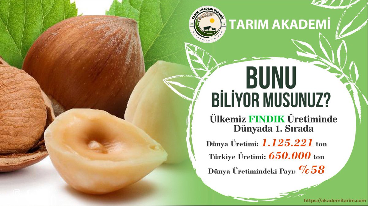 Tarım Akademi Derneği (@tarimakademider) on Twitter photo Bunu biliyor musunuz ?
Ülkemiz, dünya fındık üretiminde birinci sırada yer almakta ve küresel üretimin önemli bir bölümünü karşılamaktadır.
<a href="/TCTarim/">T.C. Tarım ve Orman Bakanlığı</a> Bunu biliyor musunuz ?
Ülkemiz, dünya fındık üretiminde birinci sırada yer almakta ve küresel üretimin önemli bir bölümünü karşılamaktadır.
<a href="/TCTarim/">T.C. Tarım ve Orman Bakanlığı</a>