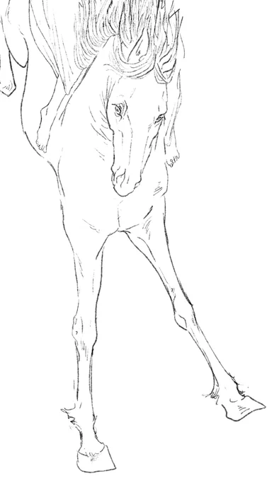 つわりのぶり返し、日々の疲労の蓄積により、お絵描きの速度がカタツムリ並みになっていますが、私は元気です。描いたことない馬のポーズに苦戦中。 