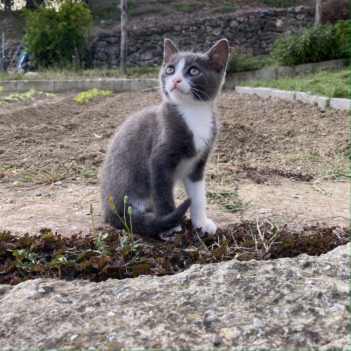 Buongiorno dalla redazione di intoscana

Foto (1) di Raffaella Galamini <a href="/wonderraffa/">Raffaella Galamini</a>