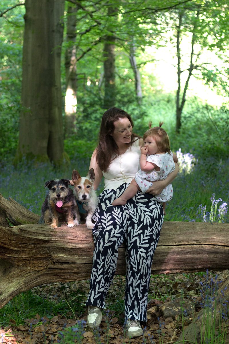 clambofficial's tweet photo. A walk among the bluebells 💜

#bluebellseason #bluebells https://t.co/muvDG5PtTQ