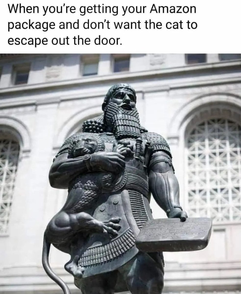 Classical Studies Memes (@csmfht) on Twitter photo 