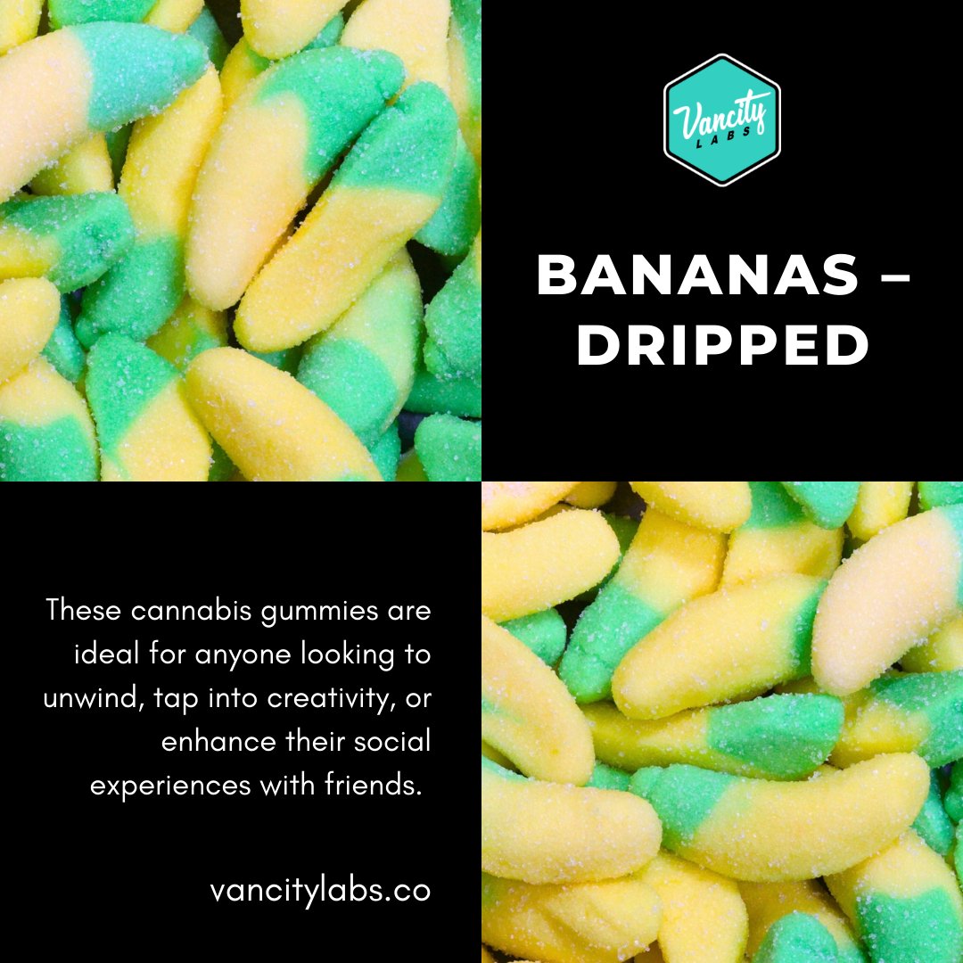vancitylabsco's tweet image. Unwind. Create. Connect. 🍌✨
Bananas – Dripped gummies are your go-to for chill vibes, creative flow, and good times with friends. 😌🎨👯‍♂️

🌐  vancitylabs.co/product/banana…

#CannabisCommunity #GummiesWithBenefits #CreativeHigh #ChillVibes #Dripped