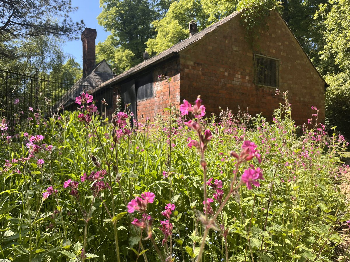 Beautiful day for putting the bedding plants out and admiring some of the flora a fauna at the Kennels <a href="/CroxtethHall/">Croxteth Hall & Country Park</a> #nature