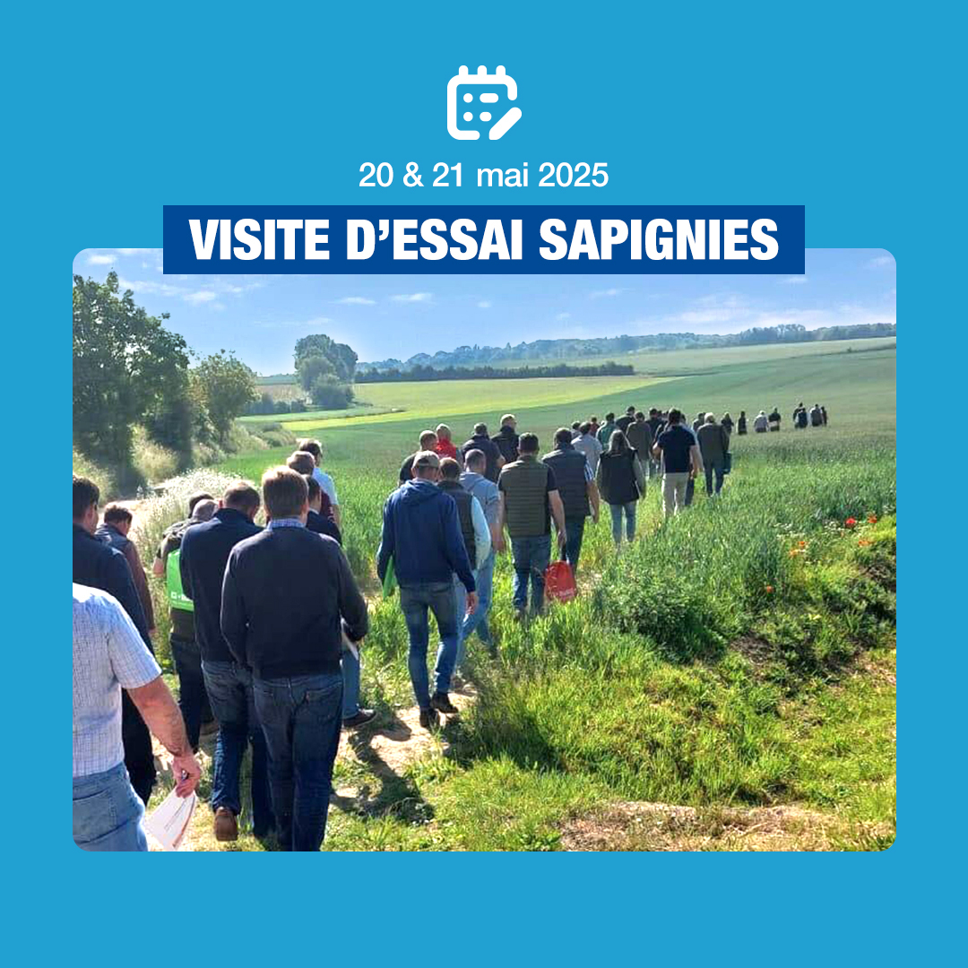 BASF_Agro_FR's tweet photo. [EN LIVE]

☀️ Sous le soleil du Nord, près de 200 personnes ont répondu présent les 20 & 21 mai à Sapignies pour découvrir de près l’innovation herbicide de BASF, conçue pour relever un défi de taille : lutter efficacement contre les graminées résistantes. 🌿

Deux journées riches en échanges sur le terrain, démonstrations techniques et retours d’expérience, pour mieux comprendre comment intégrer cette innovation dans les stratégies de désherbage actuelles.

Merci à toutes et à tous pour votre présence et votre engagement.👇

#WeAreBASF #BASF #Innovation #Agroecologie #Herbicide #Desherbage #Graminees