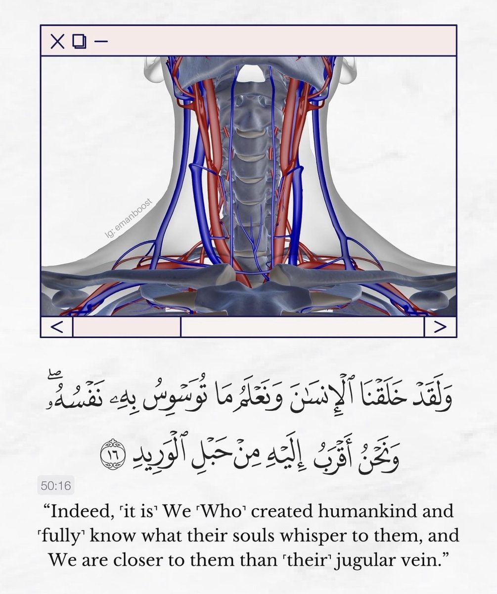 Al__Quraan's tweet photo. Indeed https://t.co/DUi8Nblh6E