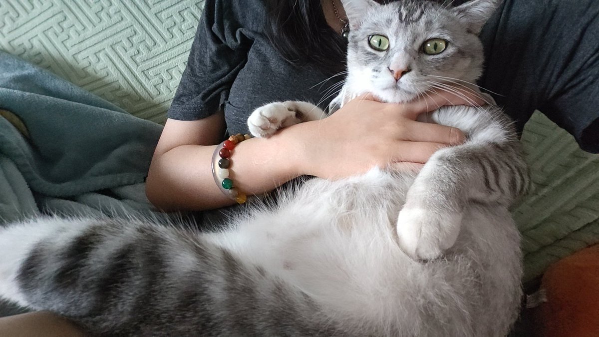 记录肥猪每一天 https://t.co/BcbOkkezfM
