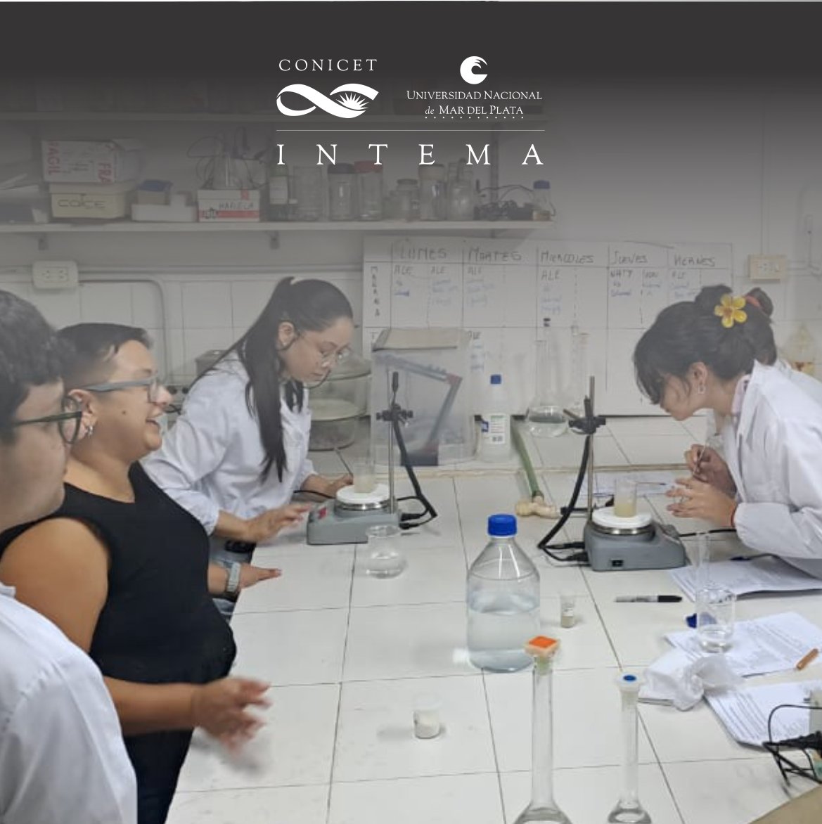 INTEMA_CONICET_UNMDP tweet media