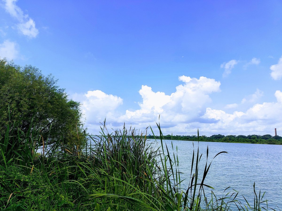 klutzydaisy's tweet photo. Amazing view of river bank 😌
#River #NatureBeauty https://t.co/hswLE2ig5p