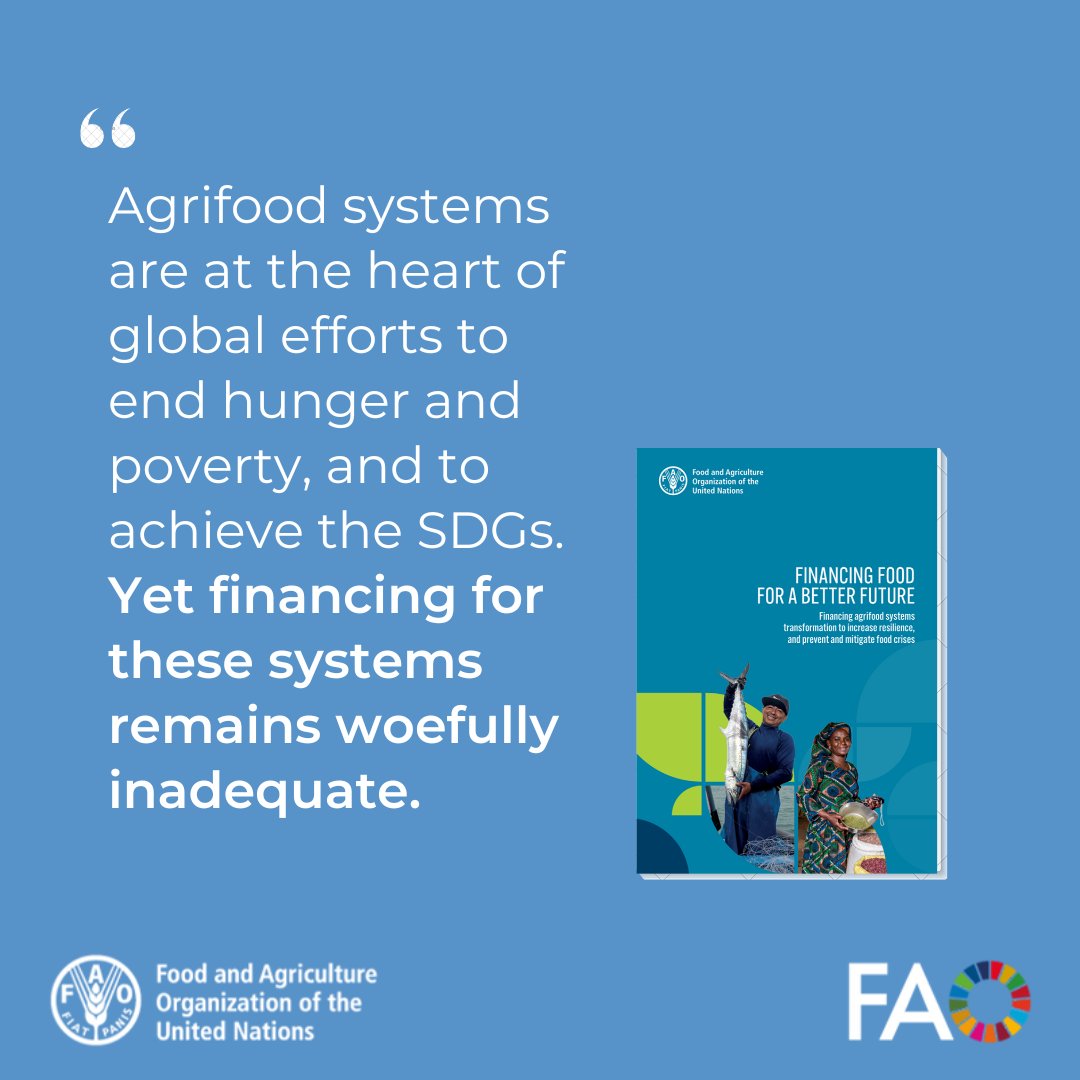 FAO Social & Economic Development (@faosocioecon) on Twitter photo "Financing food for a better future"
🌍How can we mobilize more investments to transform agrifood systems, boost resilience, and tackle food crises?
Explore this <a href="/FAO/">Food and Agriculture Organization</a> report
📘bit.ly/3EKiamQ
#FinancingDevelopment #InclusiveFinance "Financing food for a better future"
🌍How can we mobilize more investments to transform agrifood systems, boost resilience, and tackle food crises?
Explore this <a href="/FAO/">Food and Agriculture Organization</a> report
📘bit.ly/3EKiamQ
#FinancingDevelopment #InclusiveFinance