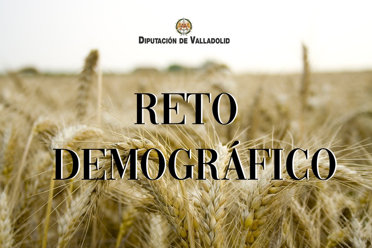 🏘️ El Programa de Reto Demográfico de la Diputación de Valladolid invertirá 550.000 euros en 2025.

✝️🏰 Además la institución destinará 98.500 euros para fomentar la Semana Santa y las Veladas Musicales en los Castillos.

La Diputación comprometida con el asentamiento y arraigo