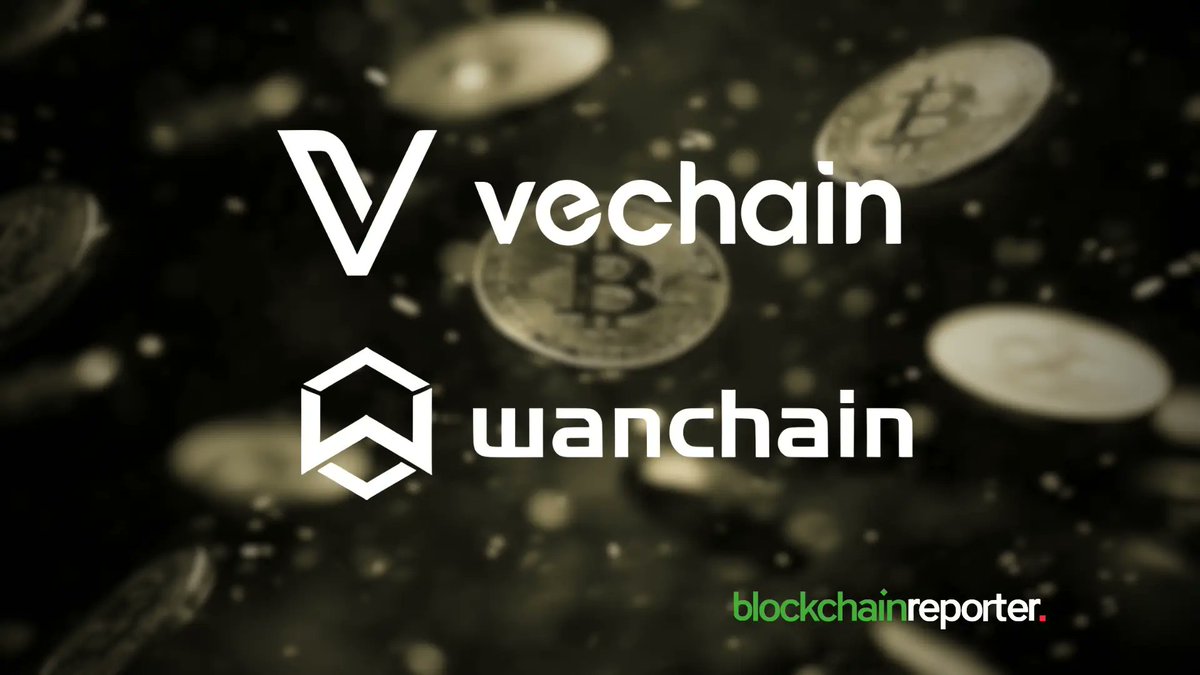 Blockchain Reporter tweet media