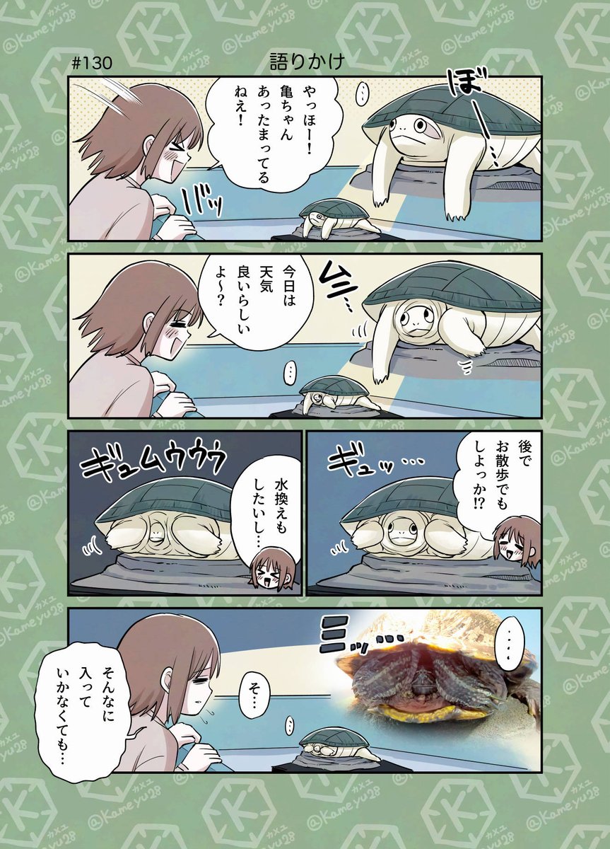 亀飼い漫画「語りかけ」 
