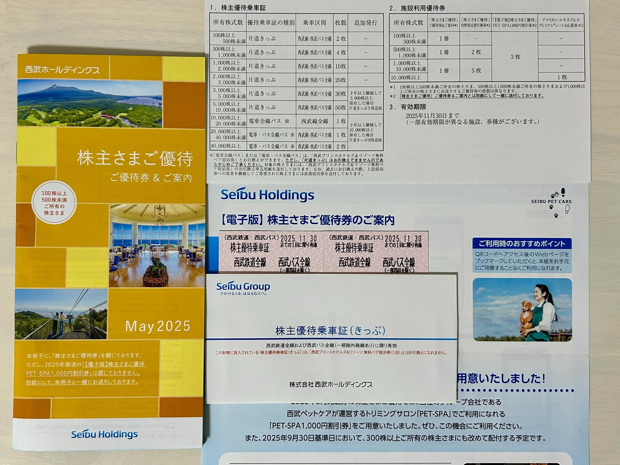 西武鉄道・バス株主優待全線乗車証10枚セット☆送料無料 西武鉄道 西武鉄道・バス株主優待全線乗車証10枚セット☆送料無料 西武鉄道