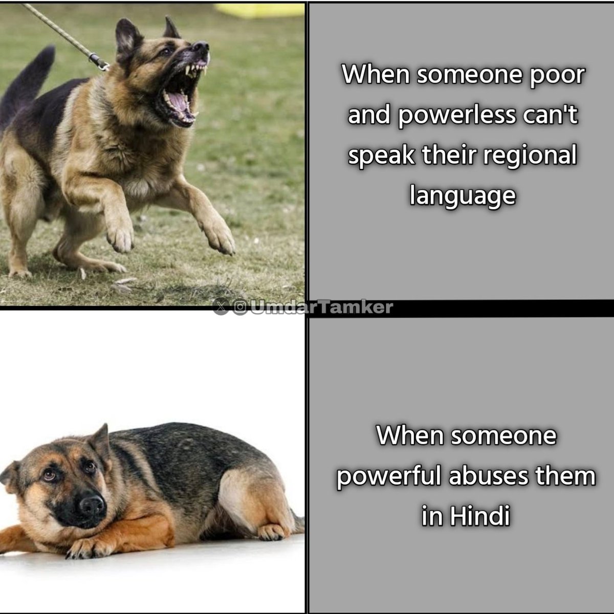 UmdarTamker's tweet photo. Regional language warriors 🤡🤡🤡 https://t.co/7lAFr0BeqX