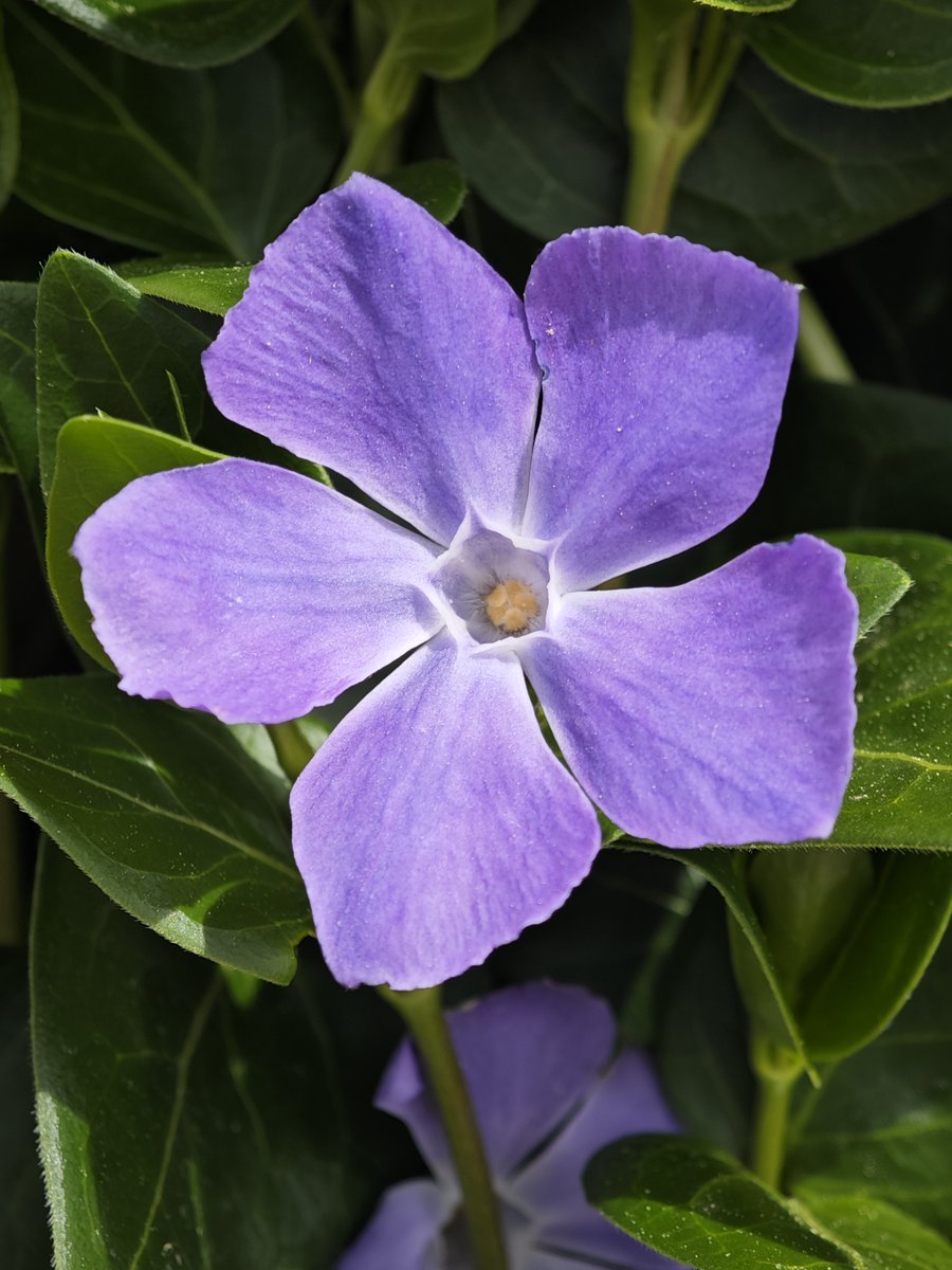 IES Santa Emerenciana tweet media