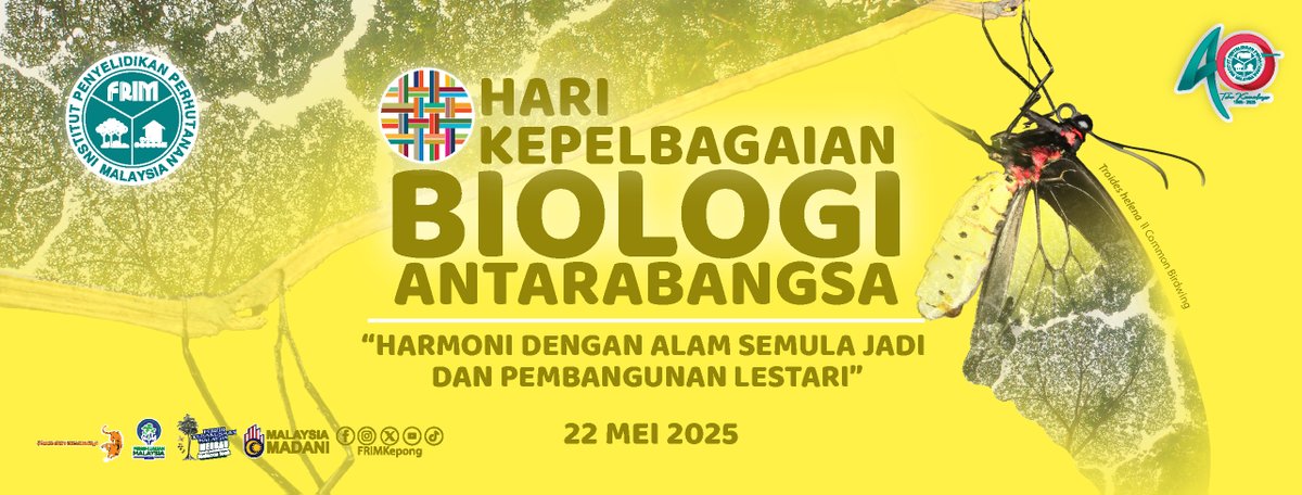 FRIMKepong's tweet photo. 🐅🐯🐜🍄🦅🌳🐘
𝗜𝗻𝘁𝗲𝗿𝗻𝗮𝘁𝗶𝗼𝗻𝗮𝗹 𝗗𝗮𝘆 𝗳𝗼𝗿 𝗕𝗶𝗼𝗹𝗼𝗴𝗶𝗰𝗮𝗹 𝗗𝗶𝘃𝗲𝗿𝘀𝗶𝘁𝘆
2025 theme: Harmony with nature and sustainable development

Ikhlas daripada warga @FRIMKepong

#FRIMConservesBioD #FRIM_BioD #BiodiversityDay #IBD2025 https://t.co/E7AyKCtnwr