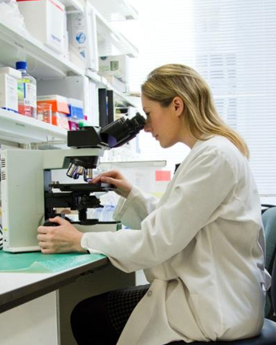 braintumourrsch's tweet photo. A new rapid method of diagnosing #BrainTumours at @UniofNottingham could reduce the time from up to 8 weeks to just 2 hours.

This could speed up access to treatment &amp; open doors to clinical trials sooner ➡️ https://t.co/n8BqLK3Mni

#BrainTumourResearch #TogetherWeWillFindACure https://t.co/cLnN0lLiku