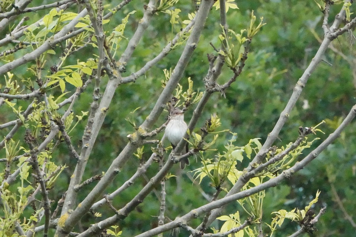 John Booth tweet media