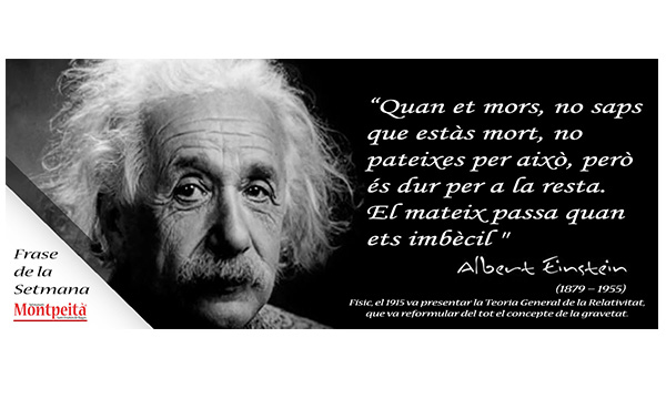 Xec Català tweet media