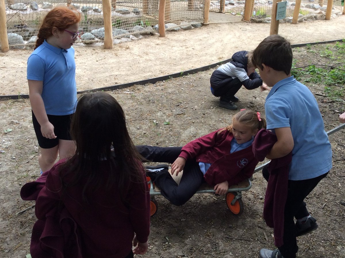 Stradforest's tweet photo. Over the past few weeks, Y2 have been developing their forest survival skills! They've made waterproof shelters, used tools for camp plaques, practised fire-making, and helped friends in forest first aid challenges 🌲🔥 @StradbrokePri https://t.co/bxuazft7Bu