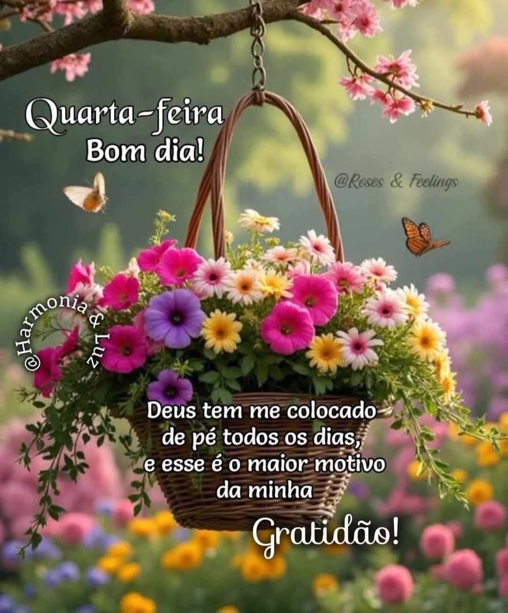 Bom dia a todos! Ótima quarta-feira 🙌🥰