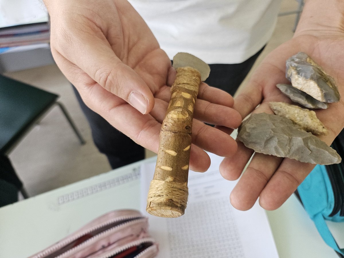 PatriMouHBST tweet media