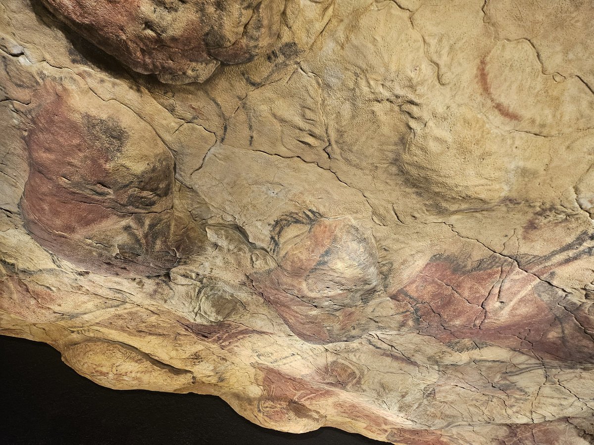 PatriMouHBST tweet media