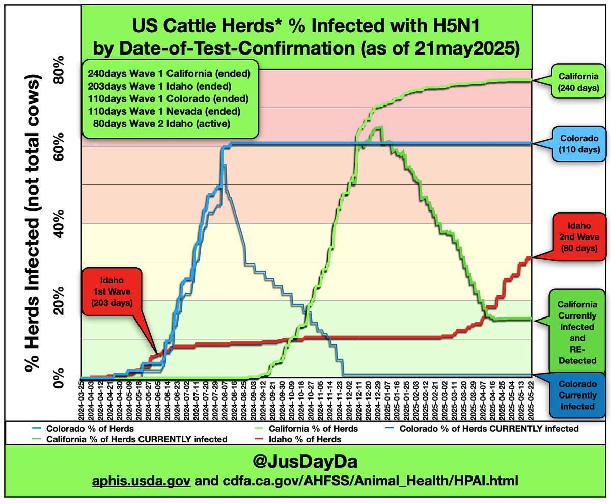 Avian Flu in Dairy Cows
Shown as a percentage of State Herds over time
California has "ended" regular updates

CRITICAL UPDATE
-Wisconsin will start testing all 5,000+ herds once per month as Drought looks likely this summer
-Brazil's bird migration moving through Wisconsin now