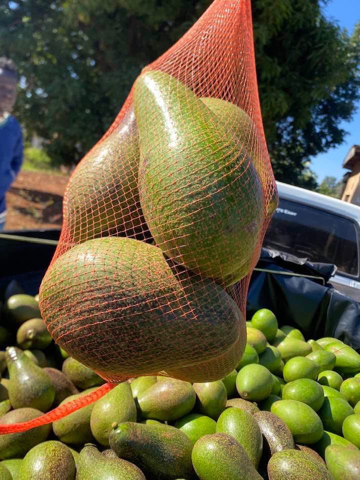 What do you call them in your language?