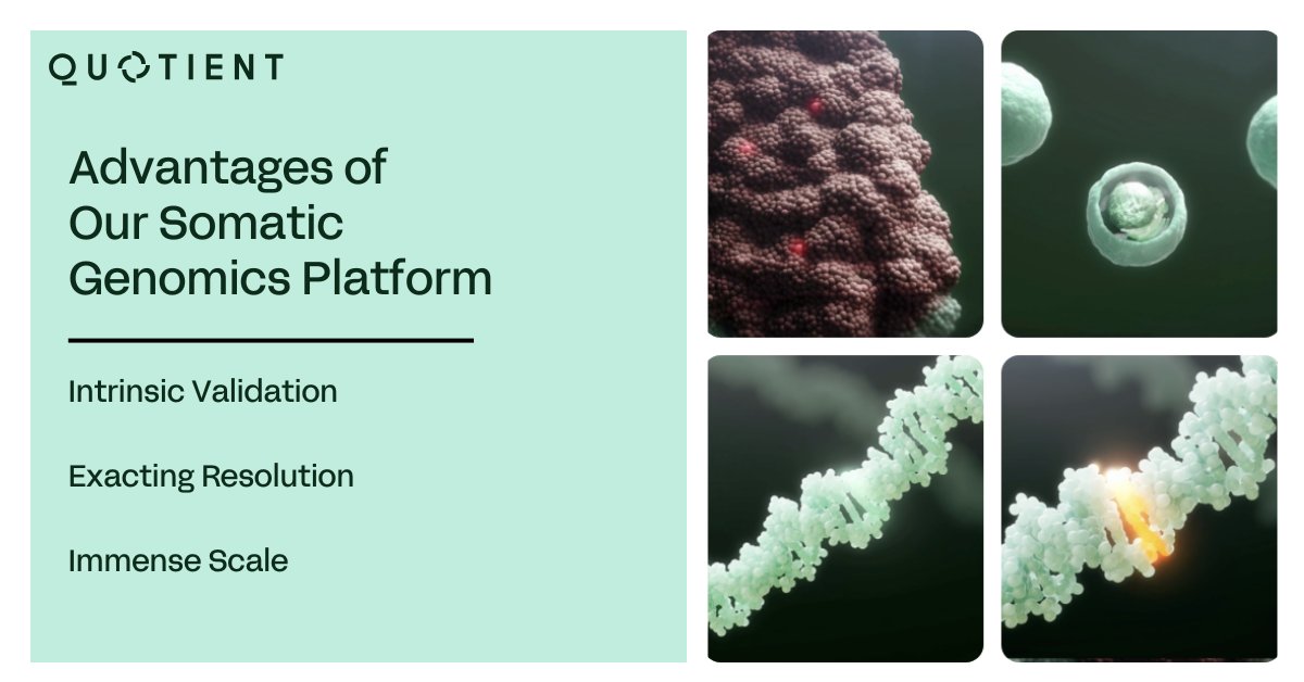 QuotientTx's tweet image. Our #SomaticGenomics platform goes beyond traditional genetic approaches to uncover the direct link between genes and diseases. Learn about our platform's capabilities: bit.ly/3AkWg71