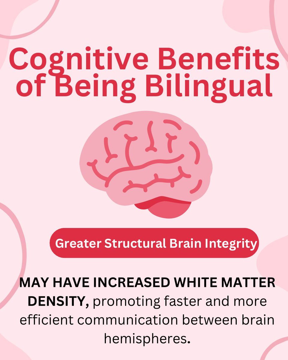 🧠 Wisdom Wednesday 🧠

Bilingual brains are powerful! 💬🌍
Research shows bilingualism increases white matter density, boosting memory, focus, and cognitive flexibility.
Speaking two languages isn’t just a skill—it’s brain-building brilliance! 🧩✨

#teach #bilingual #education