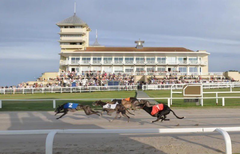 While Duralock is renowned in the equestrian world, we also play a key role in greyhound racing.

We’re proud to see our two-rail system at <a href="/TowcesterRaces/">Towcester Racecourse</a> in action during the English Greyhound Derby Festival.

#GreyhoundRacing #TrackSafety #GreyhoundDerby