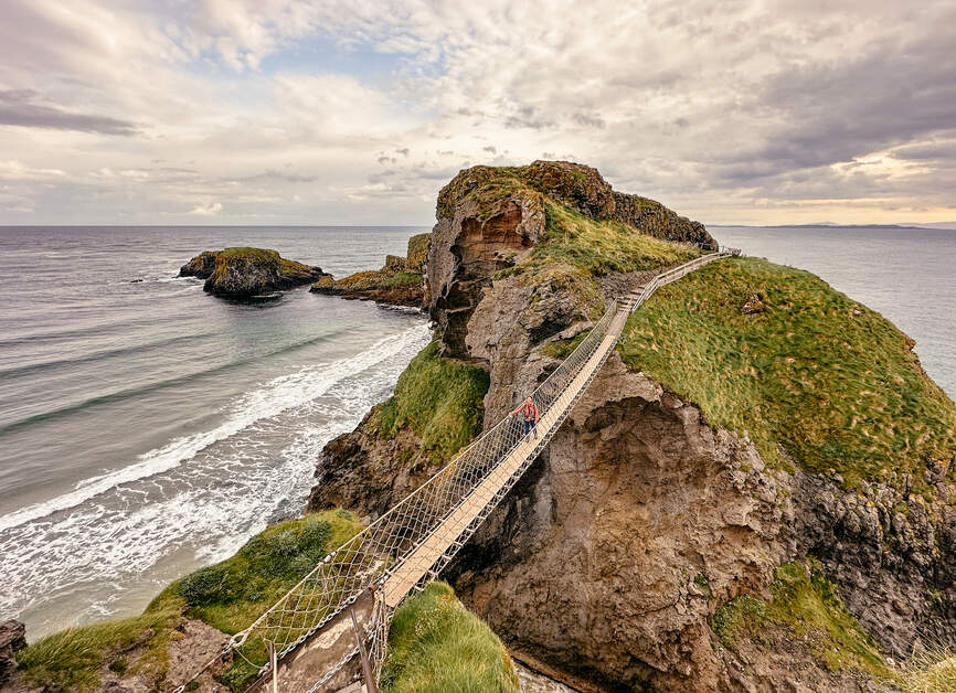 Tourism Ireland tweet media