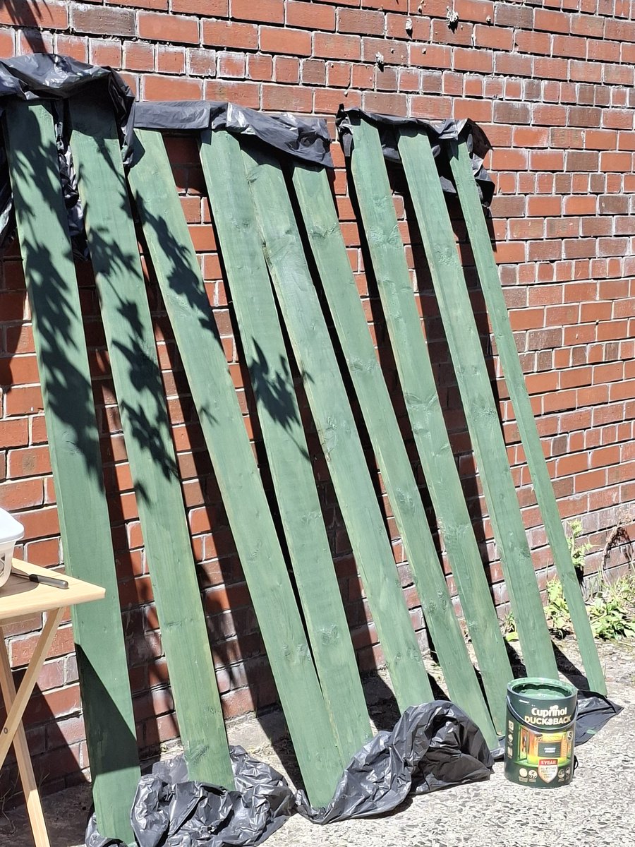 After two and a half years, I have finally been made permanent in my job. Champagne while fence painting tonight.