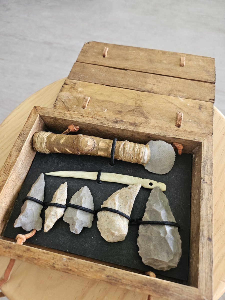 PatriMouHBST tweet media