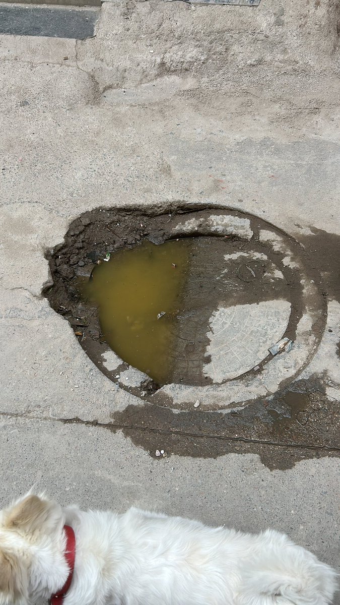 khuranacomputer's tweet photo. the complaints are very pending due to which the matter is not coming to his side. 
So my request to the mcg team is that you should get my chakra replaced so that they can complete this complaint.  @MunCorpGurugram  @MukeshSharmaMLA @NayabSainiBJP @MoHFW_INDIA @narendramodi https://t.co/5YYT6qCuvv
