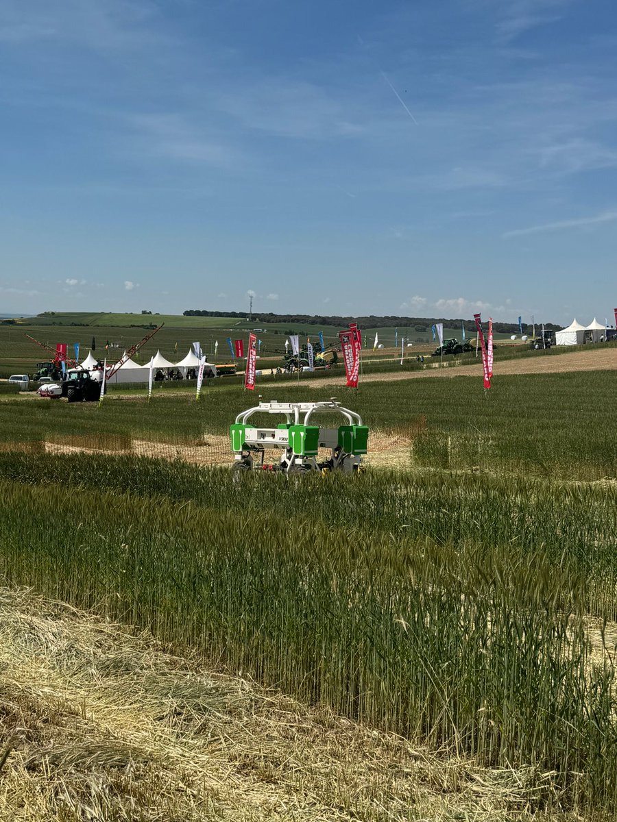 esRadio_CyL's tweet photo. 🔴#PACPOST27 | @jcyl y OPAS acuerdan en el Consejo Regional Agrario una postura conjunta frente a @desdelamoncloa y @EU_Commission.
👉Mejorar la rentabilidad, disminuir la burocracia y garantizar el relevo generacional.
Medina del Campo, @DEMOAGRO🧑🌾
#esRadioCYL @esRadio_Vall https://t.co/9bhUWxk3M0