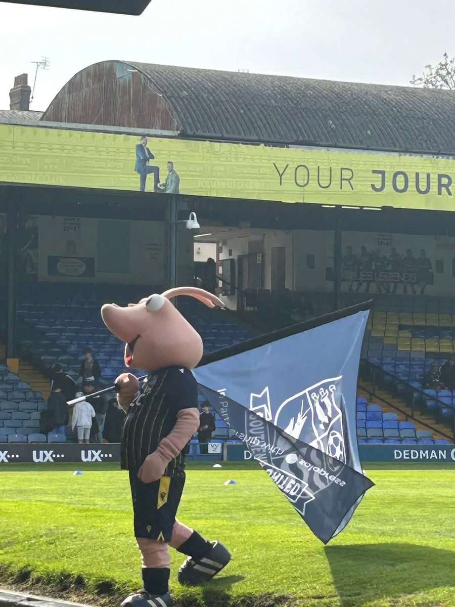 Sammy the Shrimp (@shrimp_sammy) on Twitter photo Good afternoon shrimpers im just £34 away from £1,500 will you help me get there tonight?
Im raising money for <a href="/SUFCCommunity/">Southend United Community Foundation</a> my overall target is £2,000
In 95 days ill be running the famous mascot race 🏁
justgiving.com/page/sammythes… Good afternoon shrimpers im just £34 away from £1,500 will you help me get there tonight?
Im raising money for <a href="/SUFCCommunity/">Southend United Community Foundation</a> my overall target is £2,000
In 95 days ill be running the famous mascot race 🏁
justgiving.com/page/sammythes…