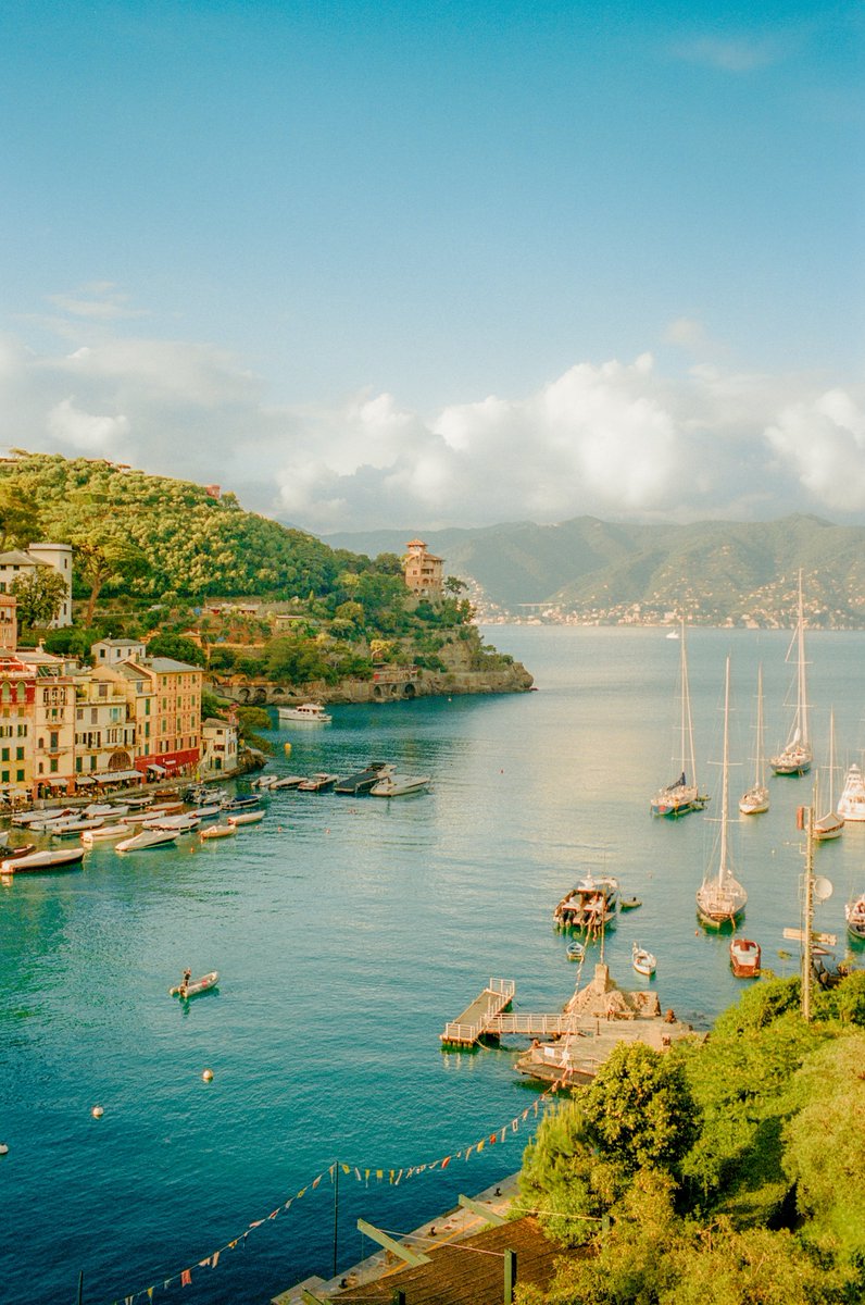 Alex Kittoe tweet media