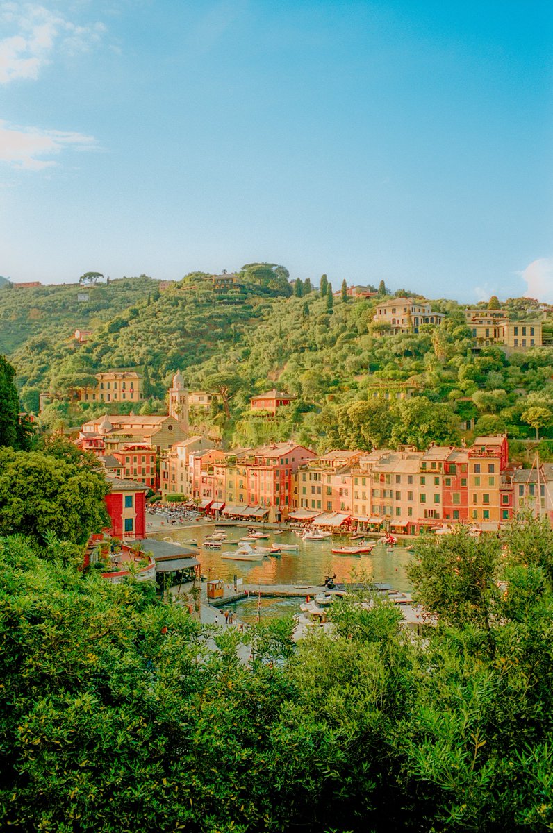 Alex Kittoe tweet media