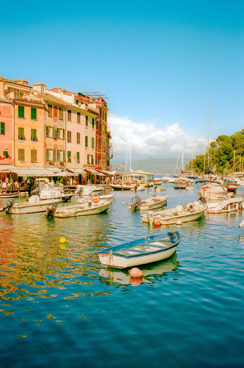 Alex Kittoe tweet media